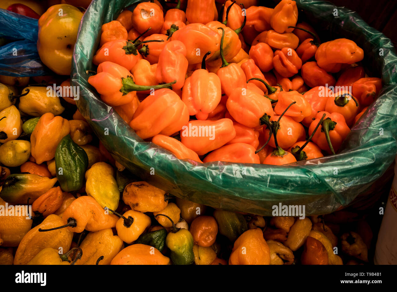 Piment Habanero dans Panier à marché dans la ville de Mexico Banque D'Images