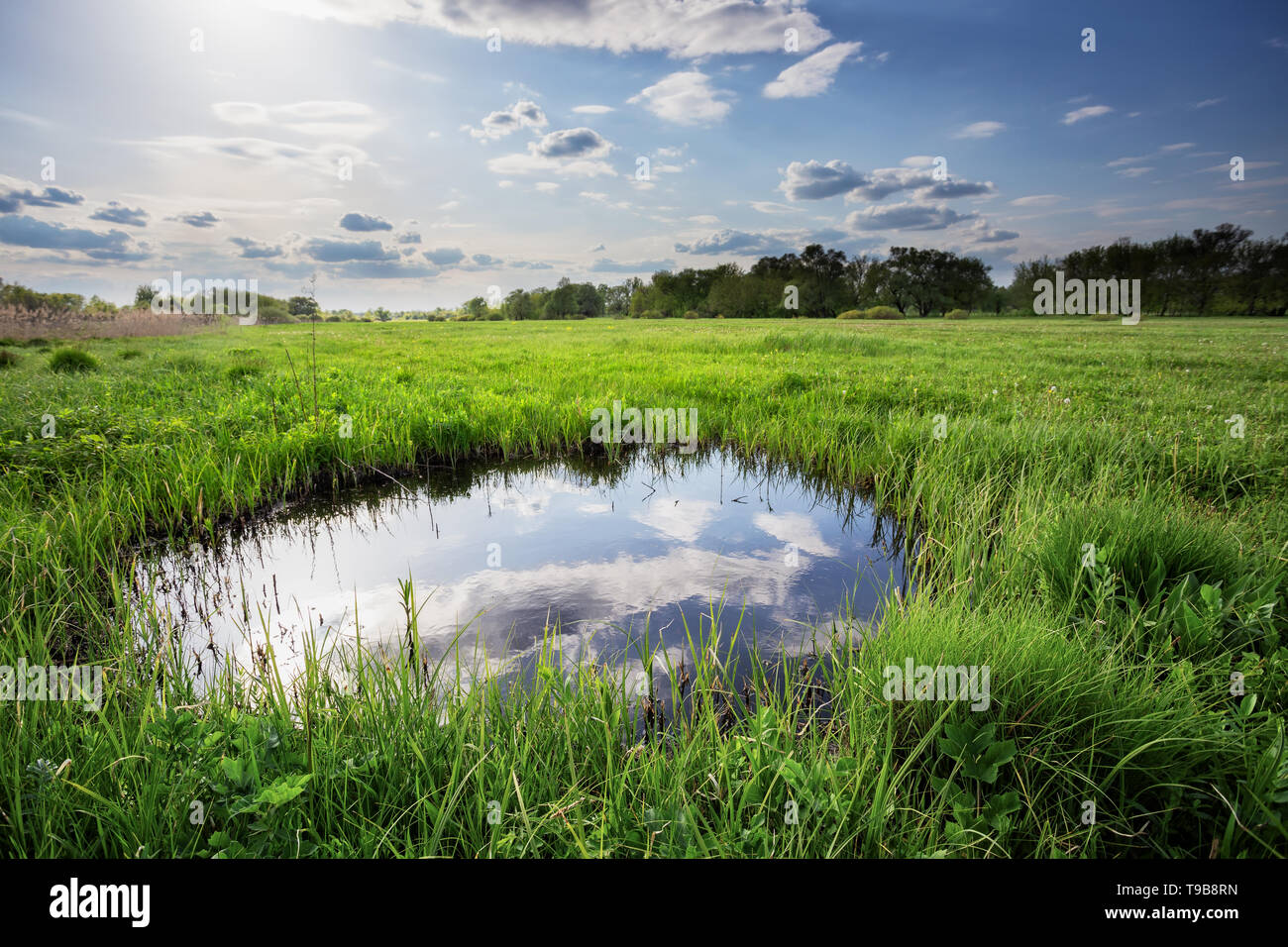 La réflexion des nuages et ciel bleu au petit lac parmi l'herbe verte Banque D'Images