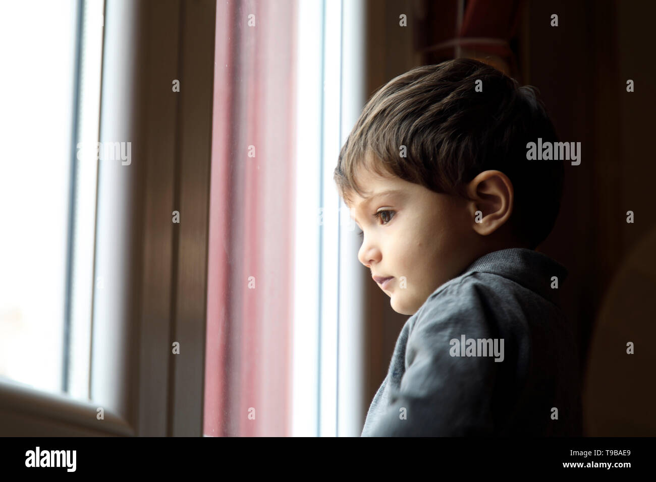 Baby Boy looking through glass window Banque D'Images