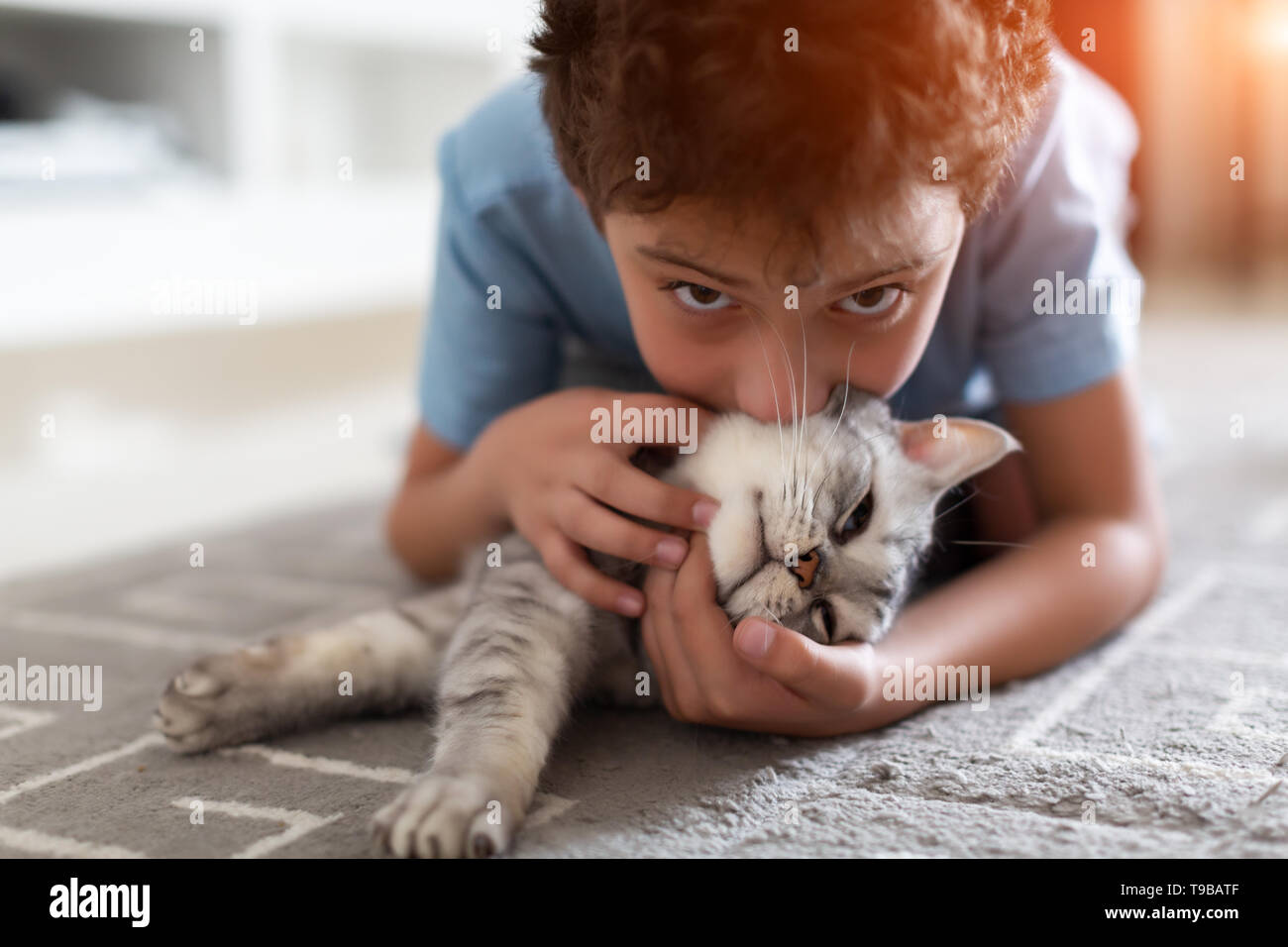 Adorable petit enfant jouant avec British shorthair gris sur un tapis à la maison Banque D'Images