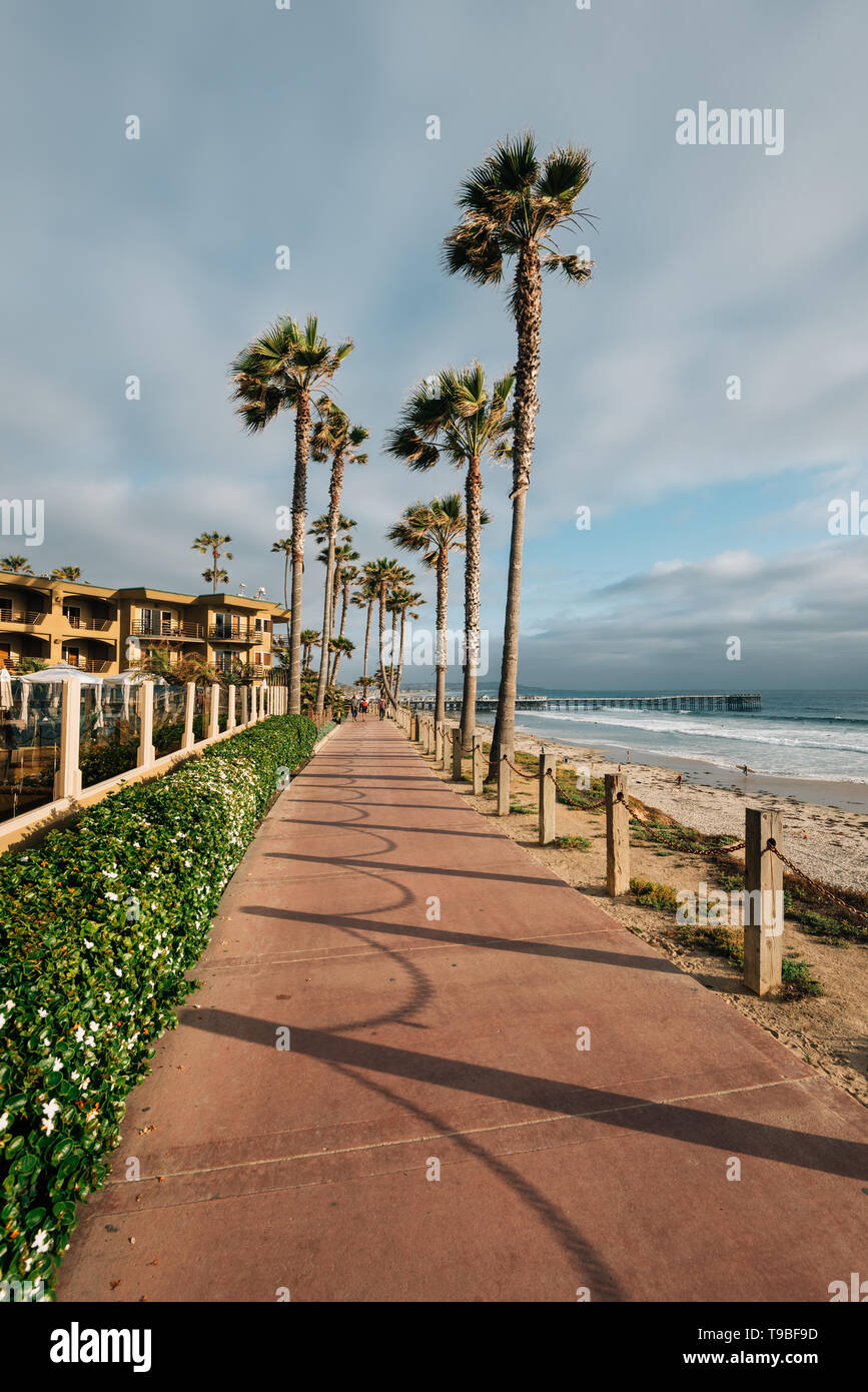 Chemin et palmiers sur un bluff à Pacific Beach, San Diego, Californie Banque D'Images