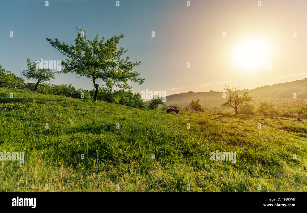 La beauté de cette photo peut être décrit par des mots ? Si j'en avais un, je dirais "la vie". C'est parce que tout est fraîcheur, l'air frais, la verdure, un Banque D'Images