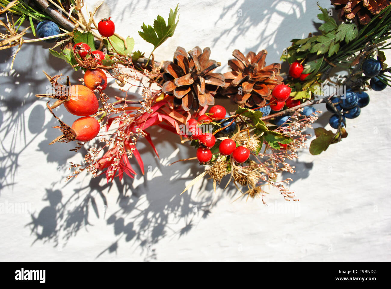 Couronne de Noël avec des baies sauvages (baies d'épine et dog rose baies), de pin avec les cônes secs, les fleurs et les feuilles, la surface du mur blanc, Close up detail Banque D'Images