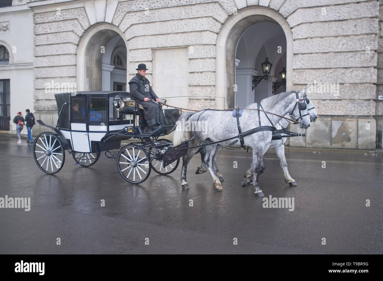 Cheval et balade en calèche à Vienne Banque D'Images