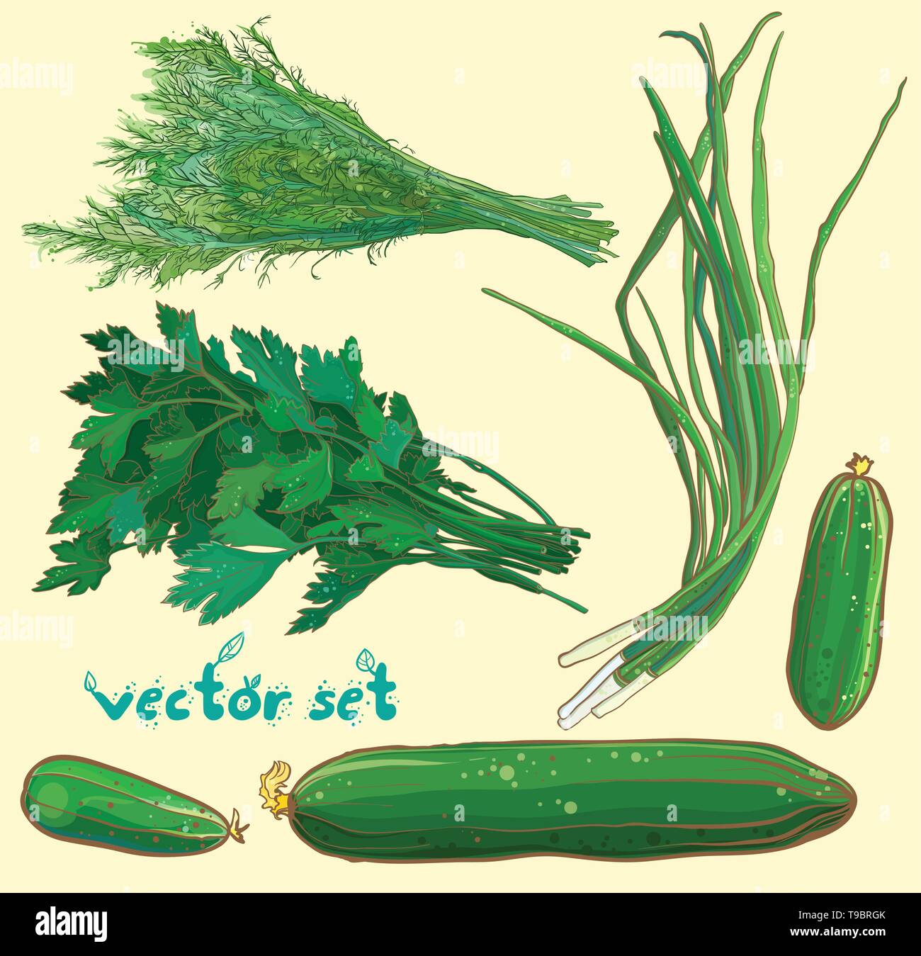 Vector illustration avec les échalotes, l'aneth, persil, concombres. Les Herbes et légumes set. eps 10 Illustration de Vecteur