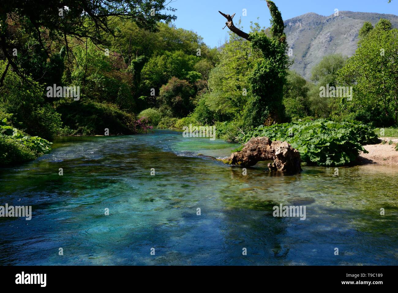 L'Œil bleu piscine eau de source karstique printemps et phénomène naturel source de la rivière Bistrice Albanie Banque D'Images