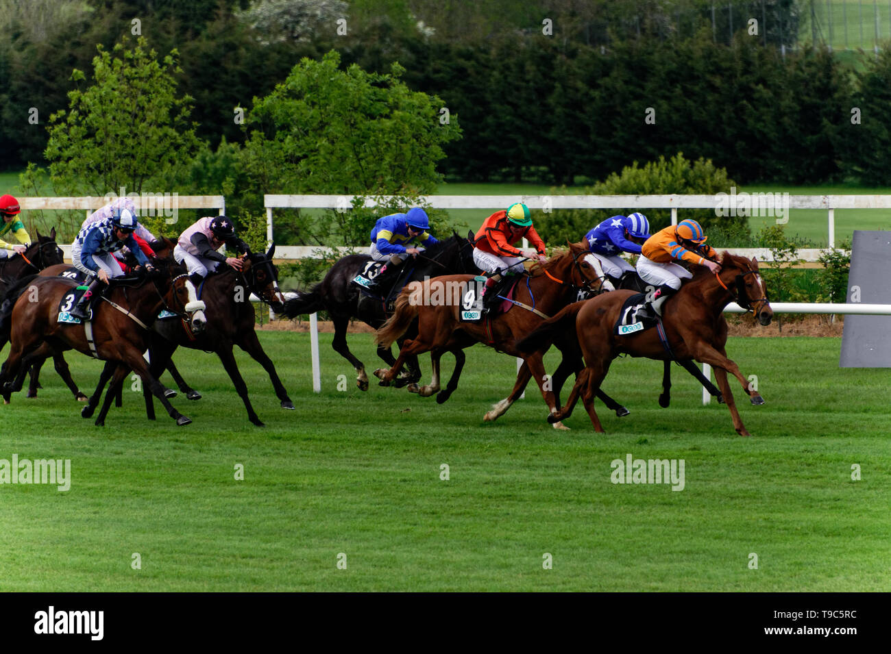 Leoprdstwn Mesdames soirée à 17 de mai 2019,le cheval,course,l'hippodrome de Leopardstown Dublin, Irlande.Dans la course à la ligne d'arrivée. Banque D'Images