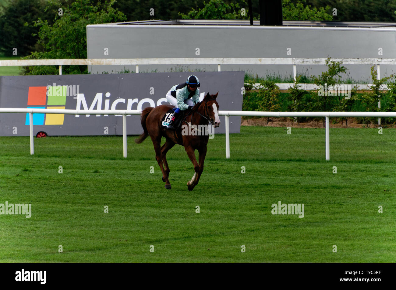 Leoprdstwn Mesdames soirée à 17 de mai 2019,le cheval,course,l'hippodrome de Leopardstown Dublin, Irlande.Dans la course à la ligne d'arrivée. Banque D'Images