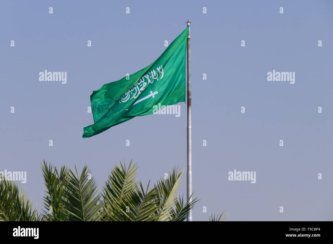 Le drapeau du Royaume d'Arabie saoudite en agitant sur un mât Banque D'Images