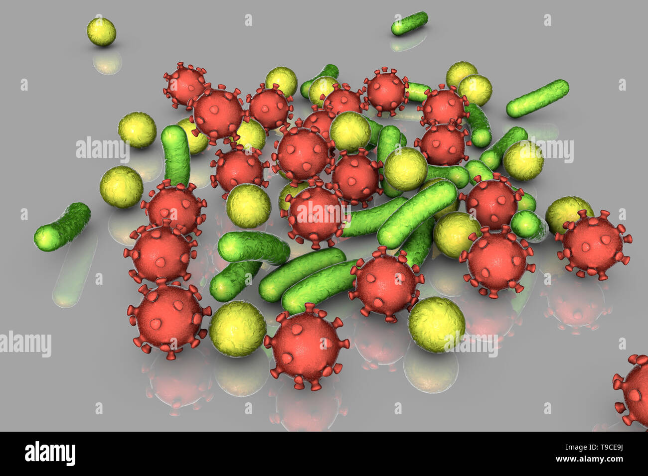 Les bactéries et les virus, illustration Banque D'Images