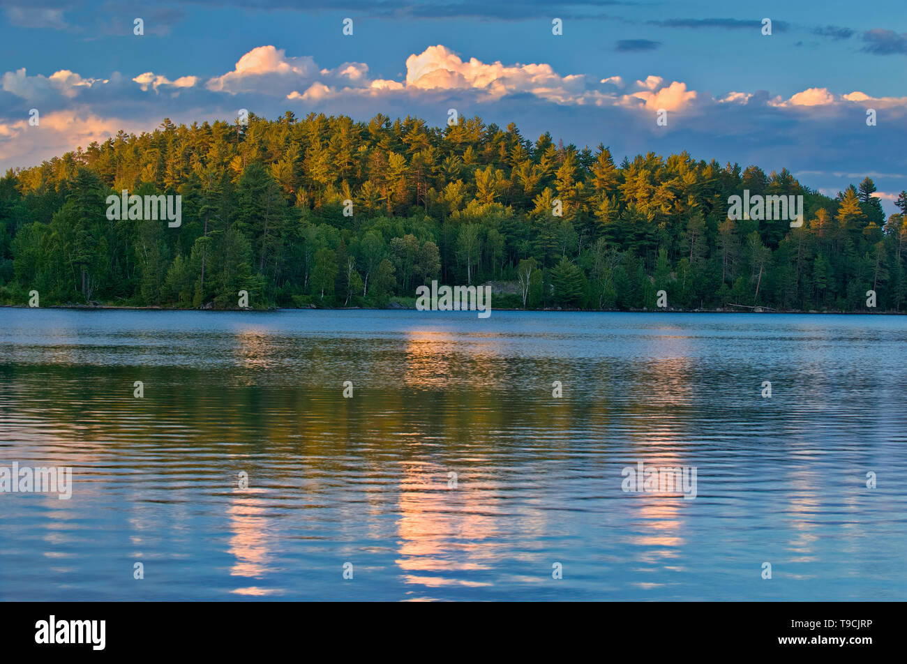 Les nuages reflètent dans l'île Snake Lake au coucher du soleil. L'ours blanc Réserve de conservation des forêts de l'Ontario Canada Temagami Banque D'Images