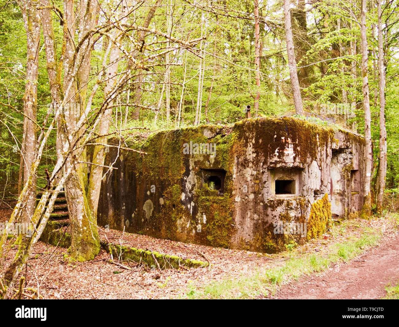 Ancien bunker de la ligne Maginot en Alsace Banque D'Images