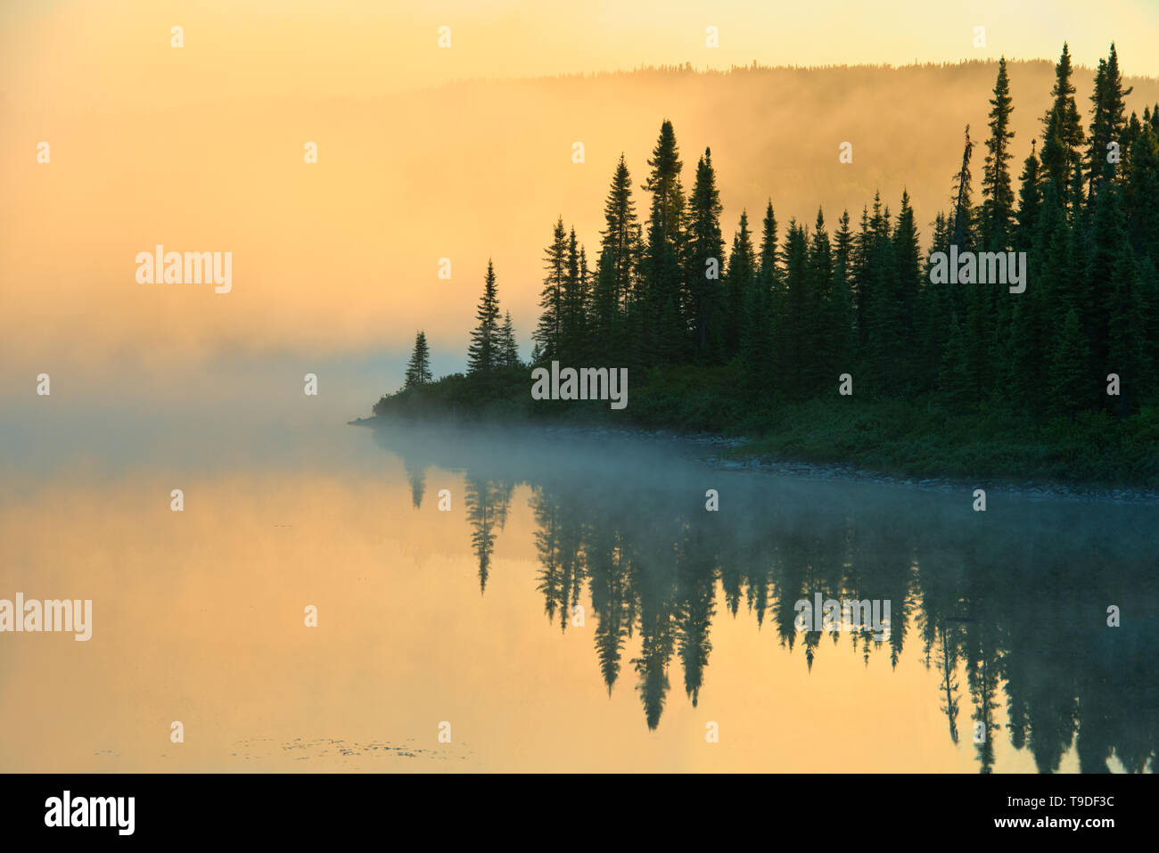 Le nord du lac dans le brouillard au lever de Chibougameau Québec Canada Banque D'Images