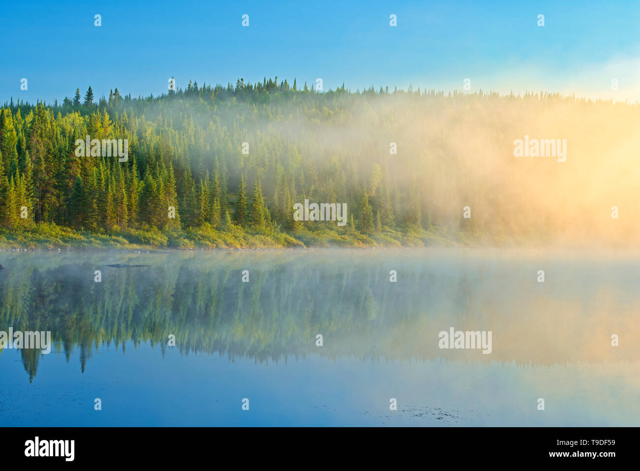 Le nord du lac dans le brouillard au lever de Chibougameau Québec Canada Banque D'Images