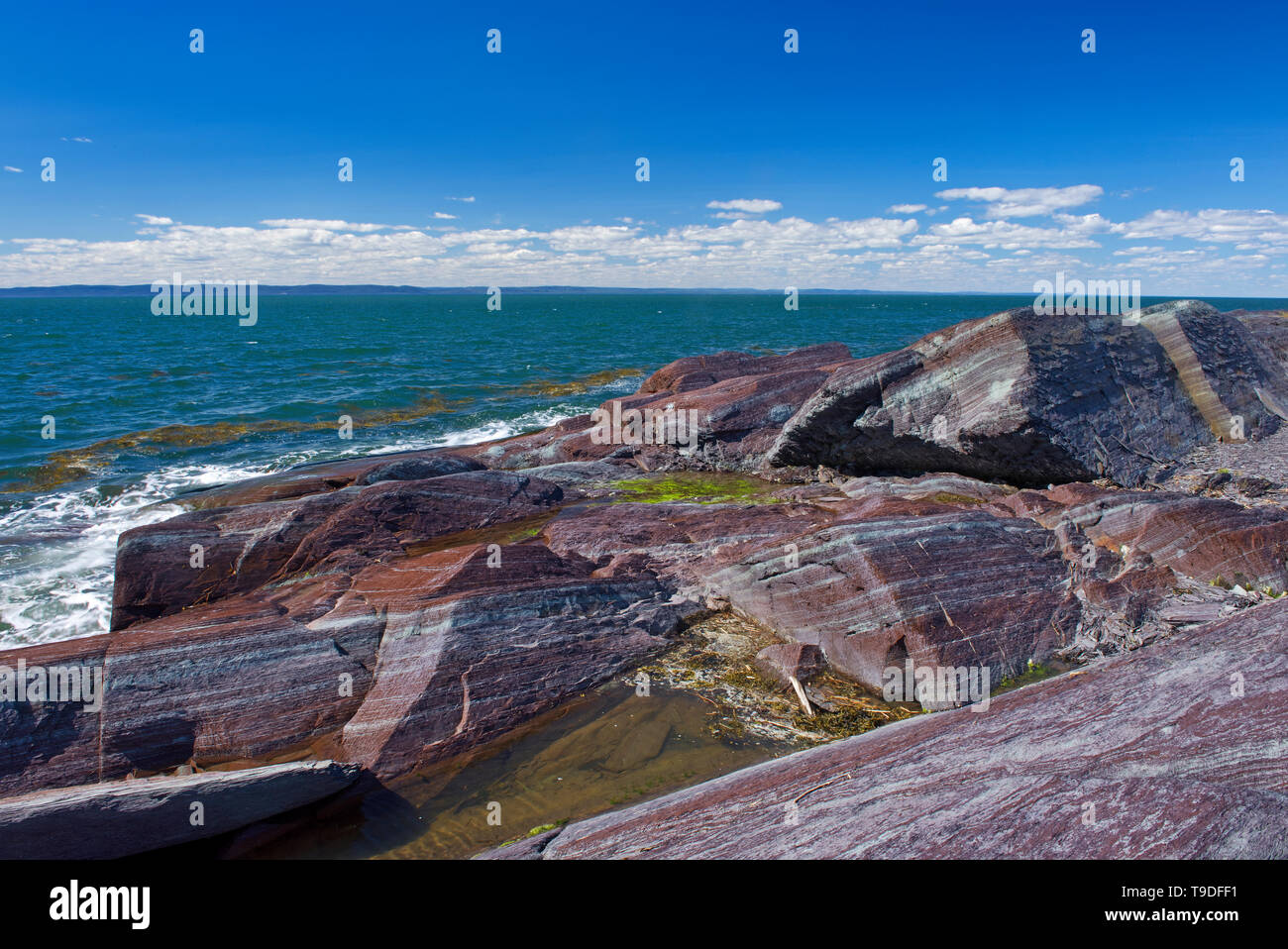 Rivage rocheux sur l'île de l'Isle-Verte dans le Saint-Laurent, l'Isle-Verte Québec Canada Banque D'Images Rivage rocheux sur l'île de l'Isle-Verte dans le Saint-Laurent, l'Isle-Verte Québec Canada Banque D'Images