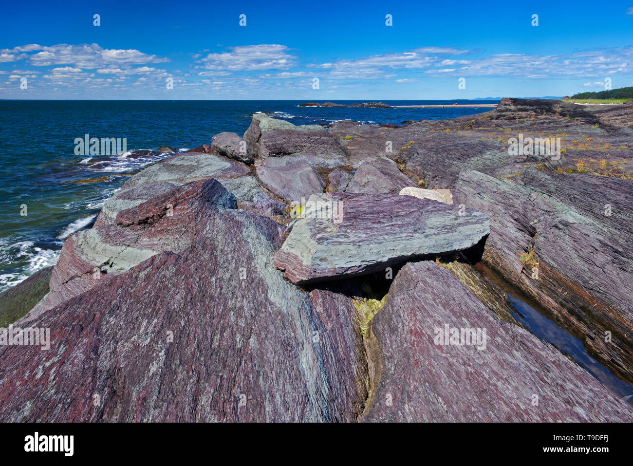 Rivage rocheux sur l'île de l'Isle-Verte dans le Saint-Laurent, l'Isle-Verte, Québec, Canada Banque D'Images