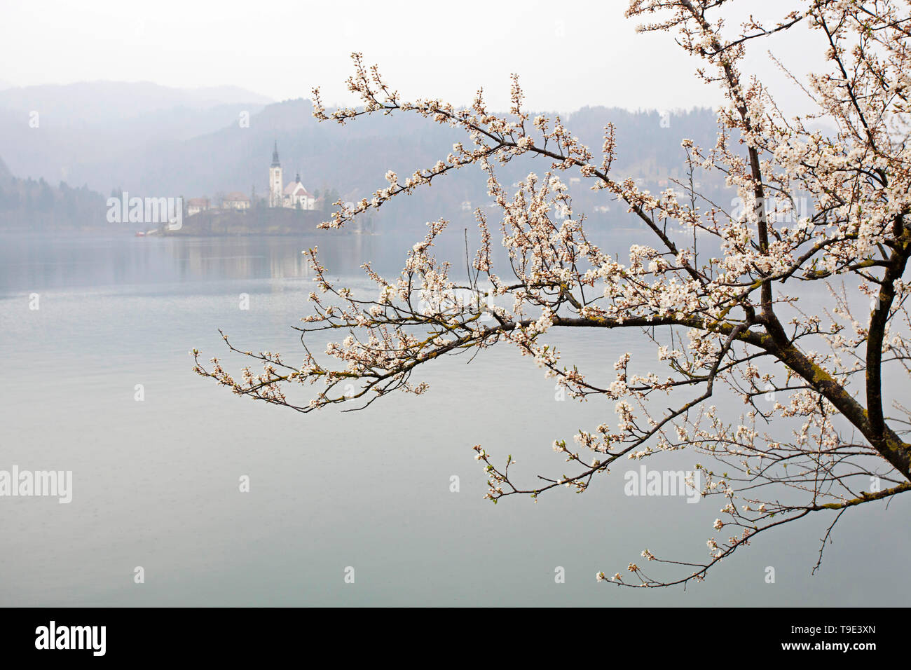 Le lac de Bled en un jour pluvieux, Slovénie Banque D'Images