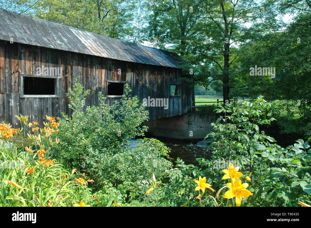 Vieux Pont couvert sur stream dans le Vermont avec windows et de fleurs et feuillages dans l'avant-plan Banque D'Images