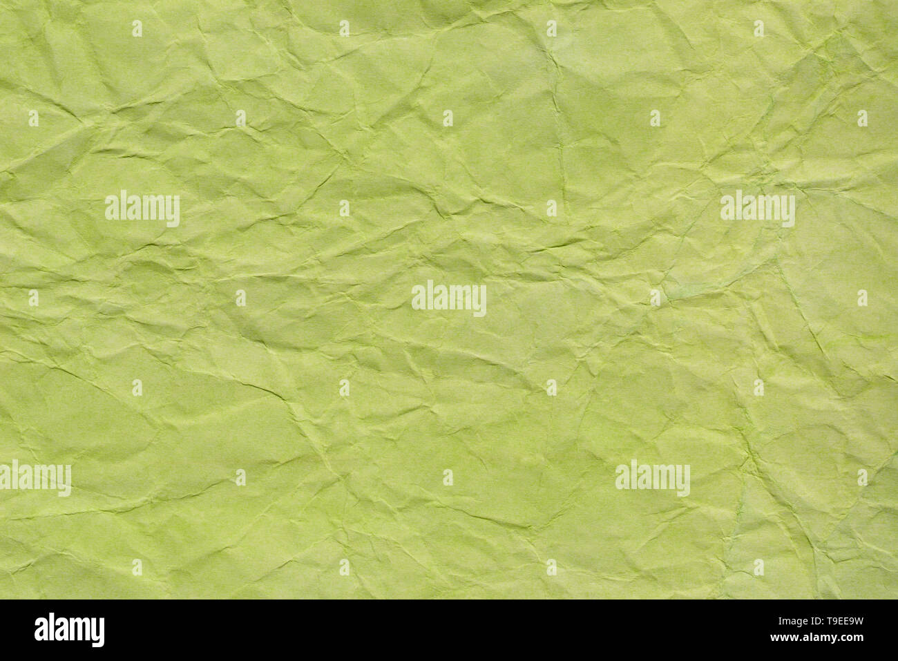 Couleur vert pastel texture de fond papier froissé Banque D'Images