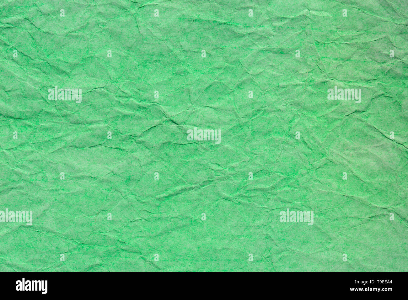 Couleur vert pastel texture de fond papier froissé Banque D'Images