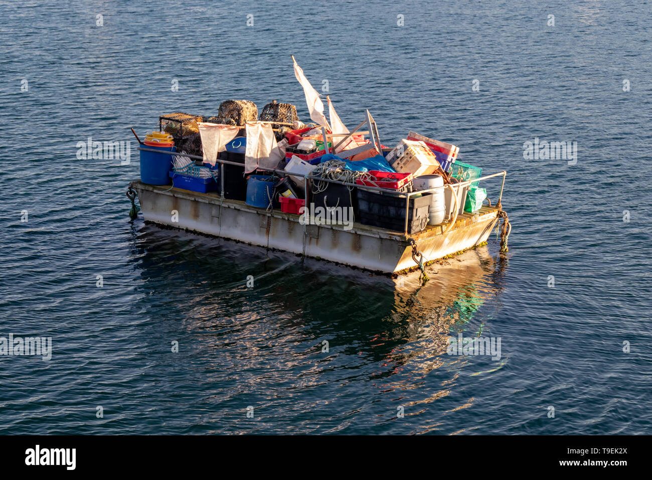 Chalutiers à perche et des bateaux de pêche à Brixham Harbour et Quayside,Angleterre,Torbay.Devon Banque D'Images