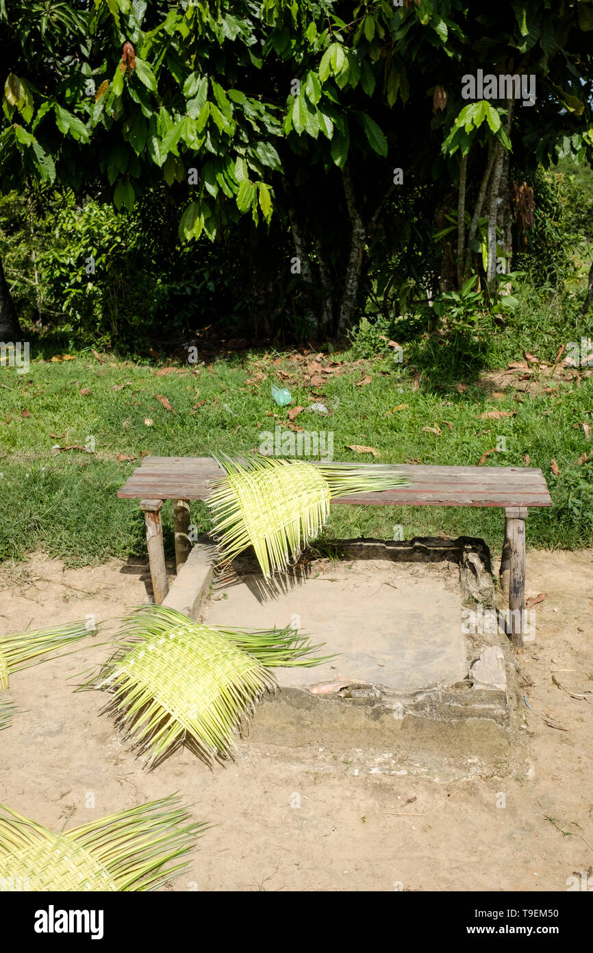 Feuilles de palmier tressées pour faire bols sont séchés au soleil sur Padre Cocha, Amazonie péruvienne, département de Loreto, Pérou Banque D'Images