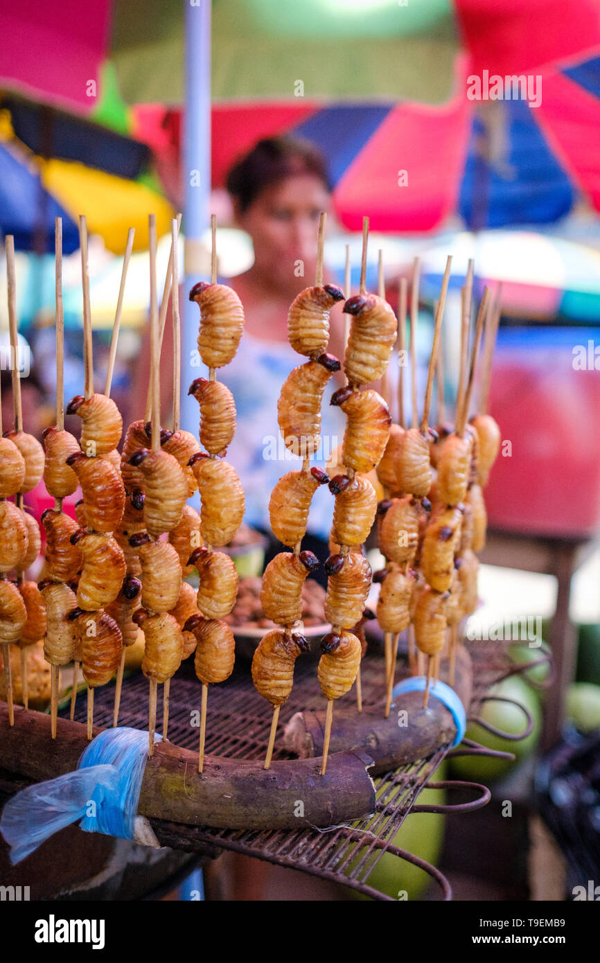 Délicieux Suri, palmier, vers, Fried et prêt à manger sur Bellavista Nanay River Port marché alimentaire, Iquitos, en Amazonie péruvienne, département de Loreto, Pérou Banque D'Images