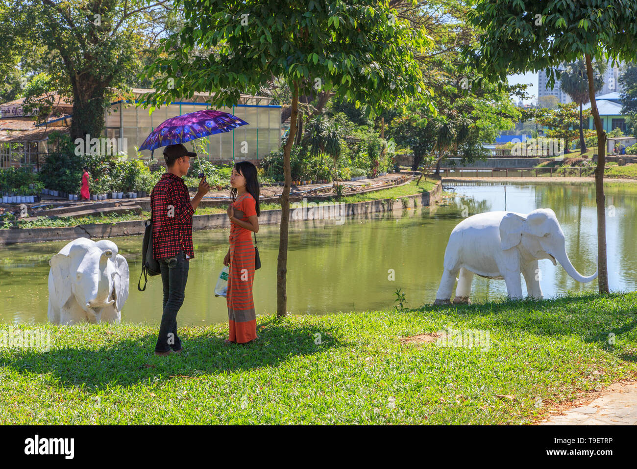 Dimanche matin au parc Bogyoke à Yangon Banque D'Images