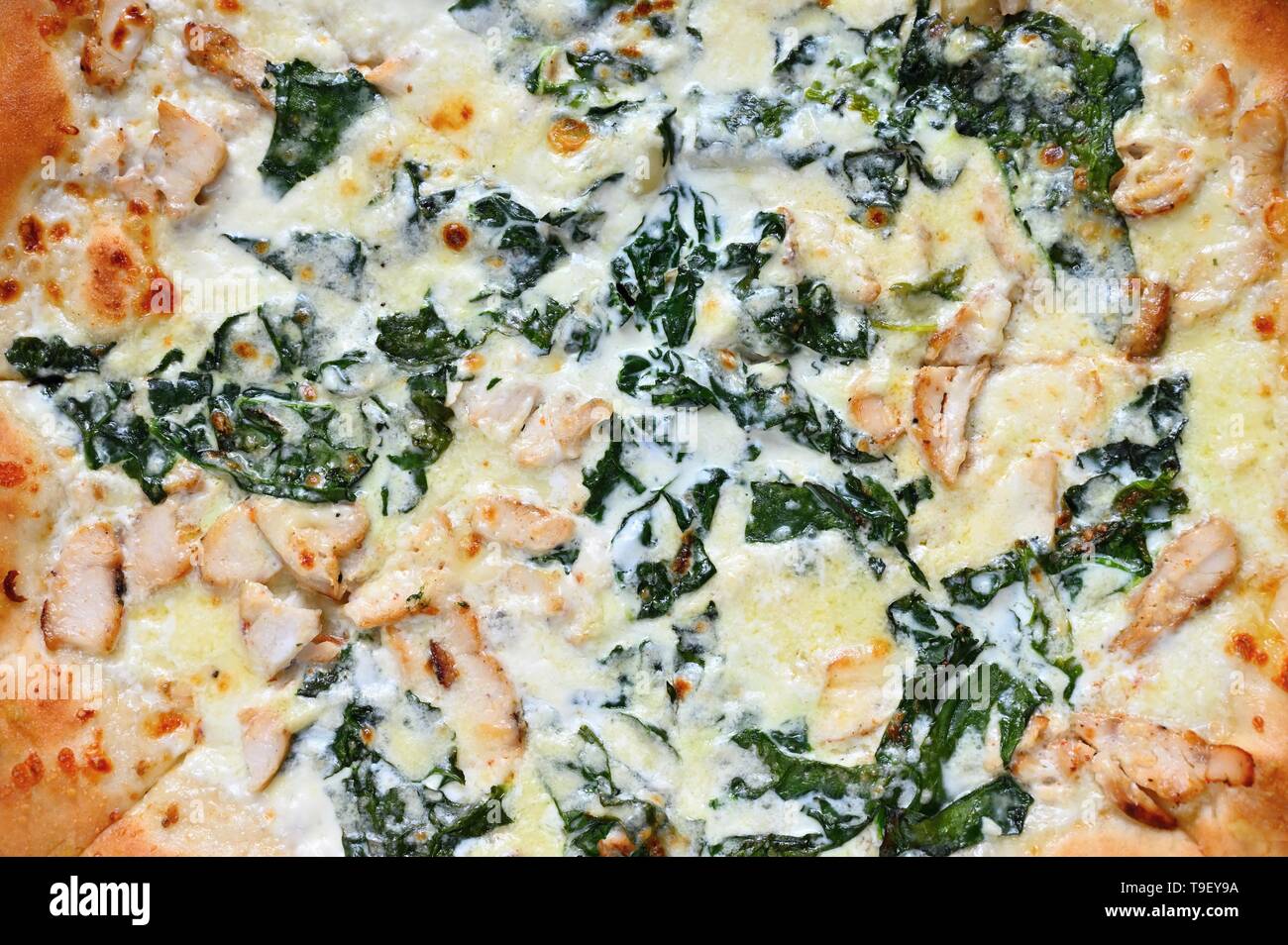 Close-up photos de nourriture. De délicieuses pizzas fraîches avec de la crème et de l'épinard. Banque D'Images