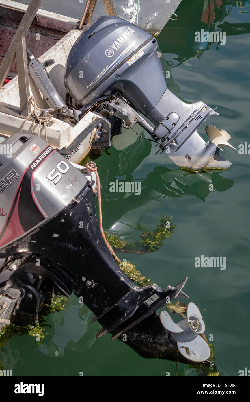 Chalutiers à perche et des bateaux de pêche à Brixham Harbour et Quayside,Angleterre,Torbay.Devon Banque D'Images