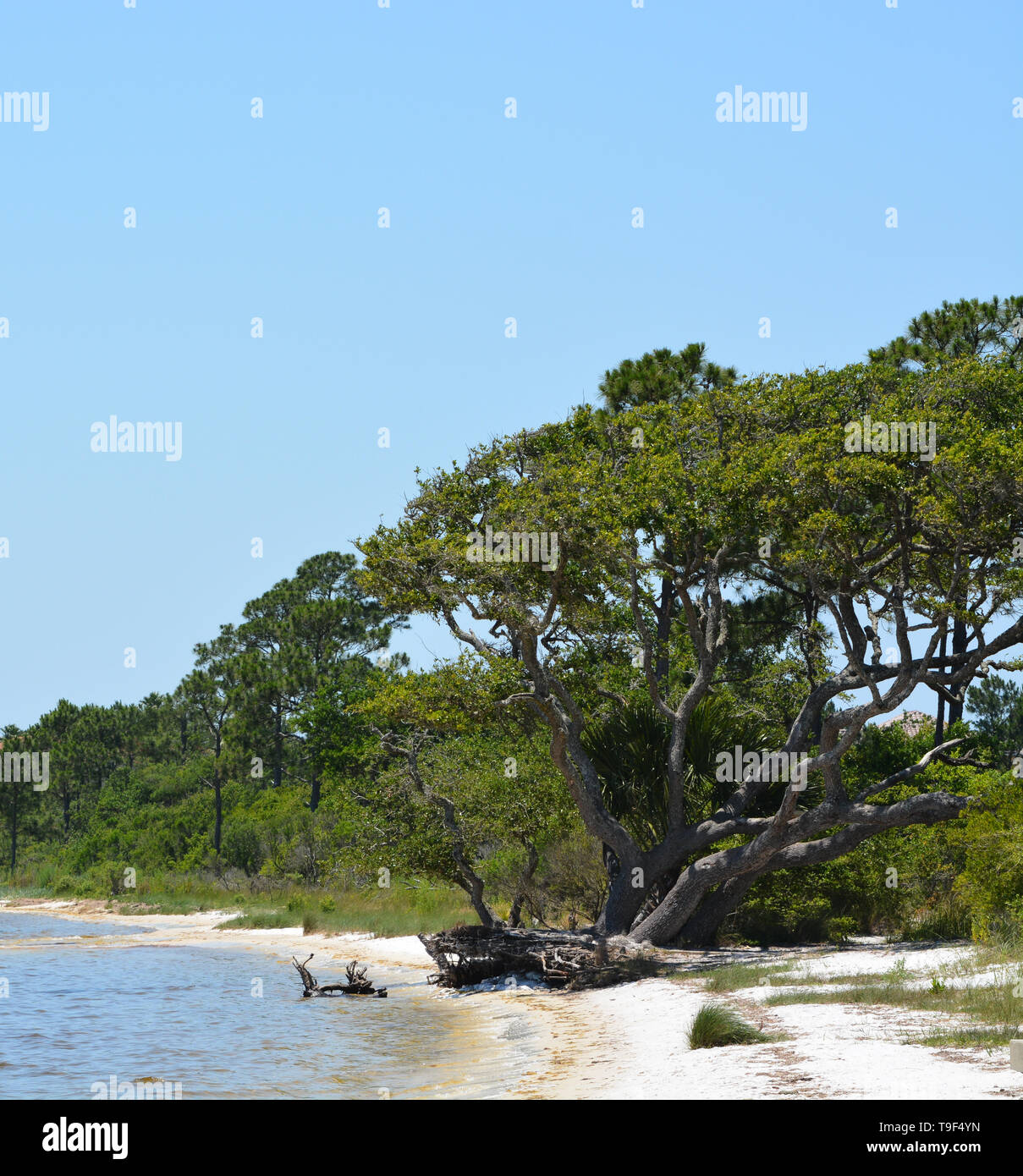 La côte de Gulf Breeze en Floride du comté de Santa Rosa sur le golfe du Mexique, USA Banque D'Images