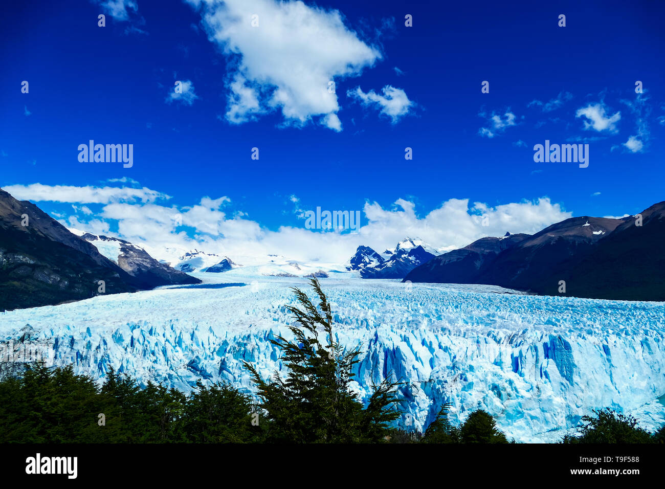 De l'avant et le glacier Perito Moreno, Patagonie, Argentine Banque D'Images