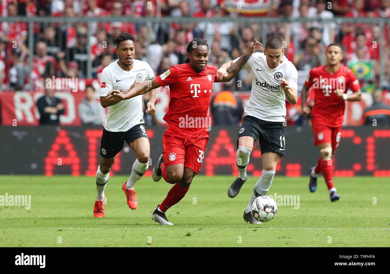 Munich Munich, Allemagne. 18 mai, 2019. firo : 18.05.2019 Football, Football : 1. La saison 2018/2019 de la Bundesliga, le FC Bayern Munich Munich - Eintracht Francfort 5 : 1 Renato FCB Sanches, duels, duel, l'Eintracht Mijat oviá ‡ ‡ ‡ GaA, Gacinovic GuzmÃ Eintracht, Jonathan de¡n, Guzman, l'utilisation dans le monde entier | Credit : dpa/Alamy Live News Banque D'Images