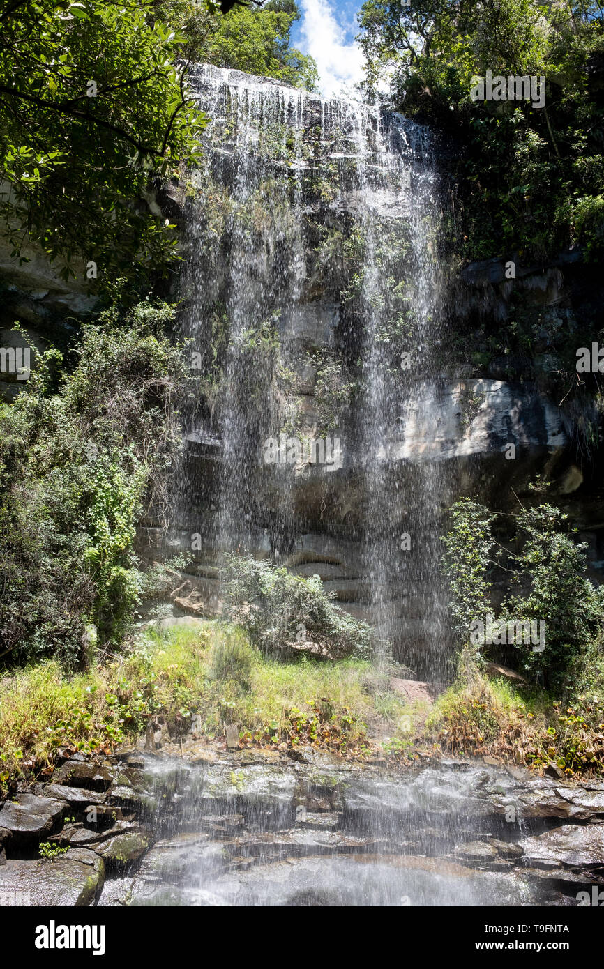 Monks Cowl réserve naturelle dans la vallée de Champagne près de Winterton, faisant partie de la chaîne de montagnes du Drakensberg central, Kwazulu Natal, Afrique du Sud. Banque D'Images