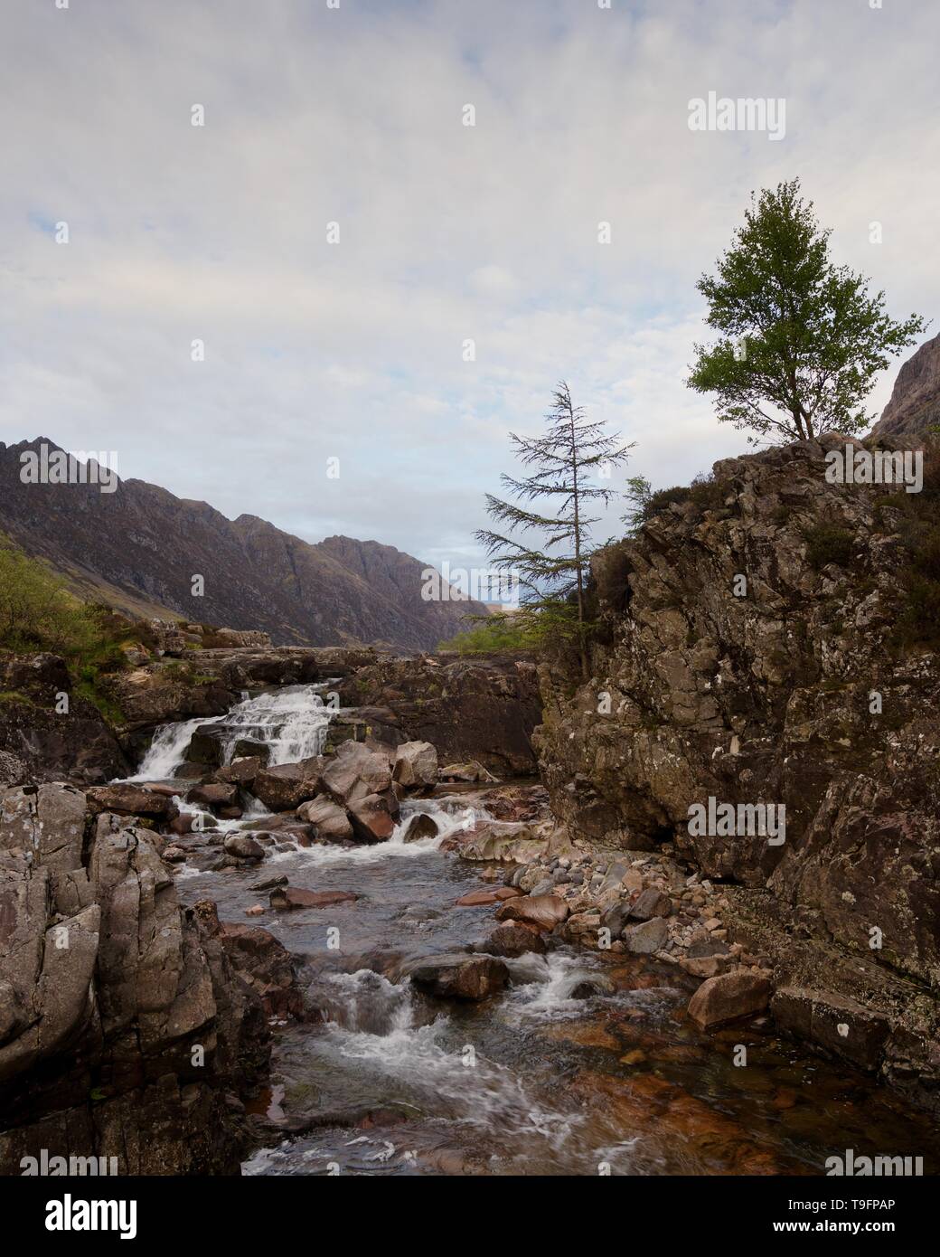 Il s'agit d'un petit ensemble de chutes sur la rivière de l'Europe à la tête de Glencoe. Le tir a l'air jusqu'à l'aonach eagach Ridge dans la distance. Banque D'Images