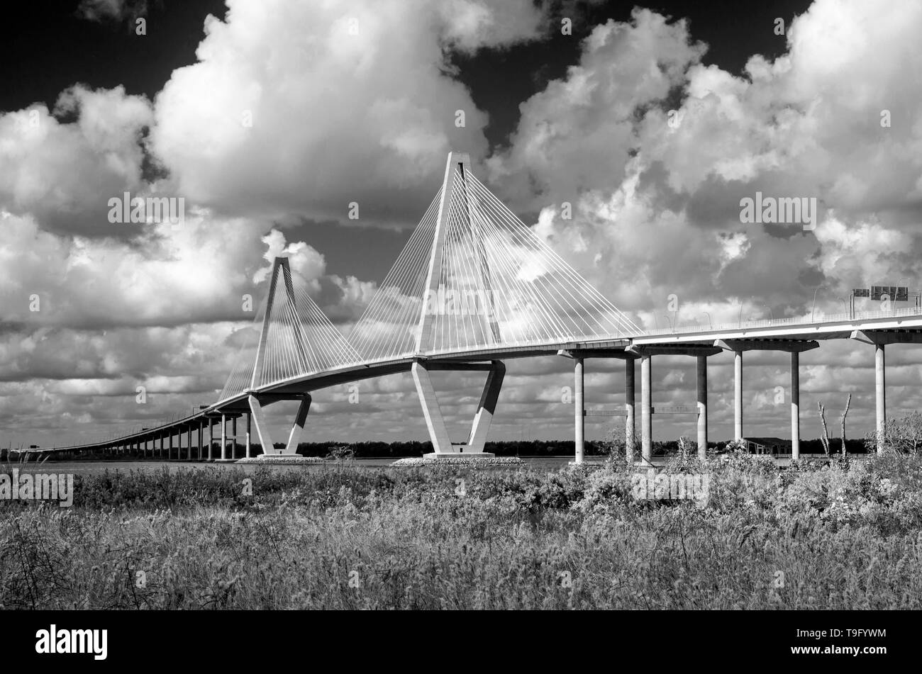 Cooper River Bridge, Charleston, Caroline du Sud Banque D'Images