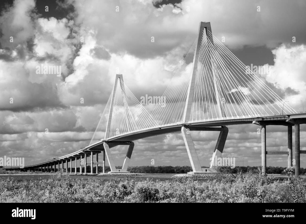 Cooper River Bridge, Charleston, Caroline du Sud Banque D'Images