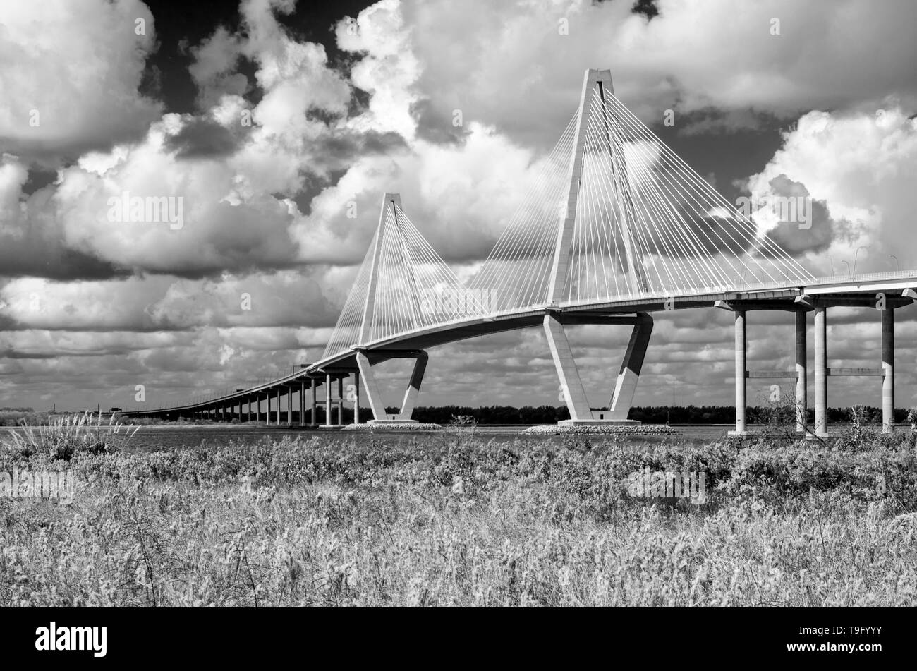 Cooper River Bridge, Charleston, Caroline du Sud Banque D'Images