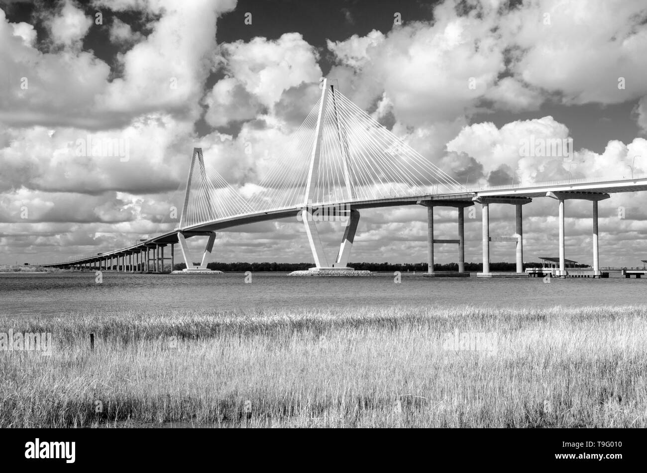 Cooper River Bridge, Charleston, Caroline du Sud Banque D'Images