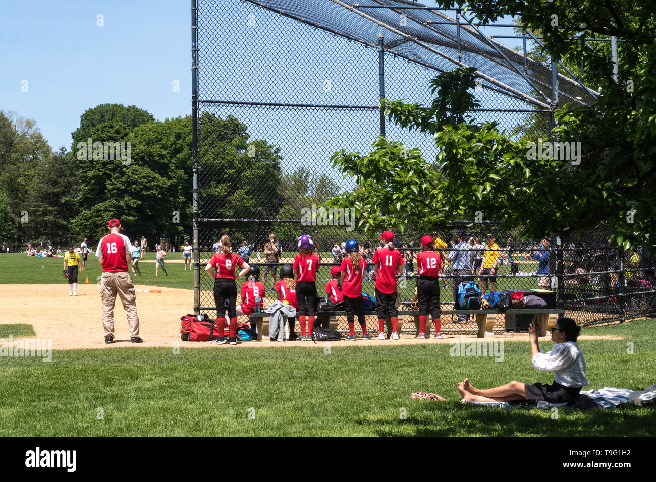 Pour jouer à la balle molle dans Central Park, NYC, USA Banque D'Images