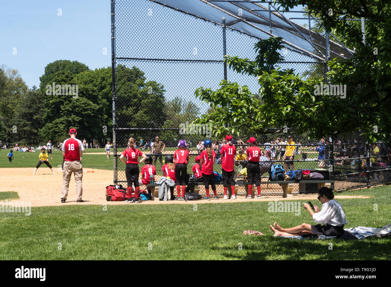 Pour jouer à la balle molle dans Central Park, NYC, USA Banque D'Images