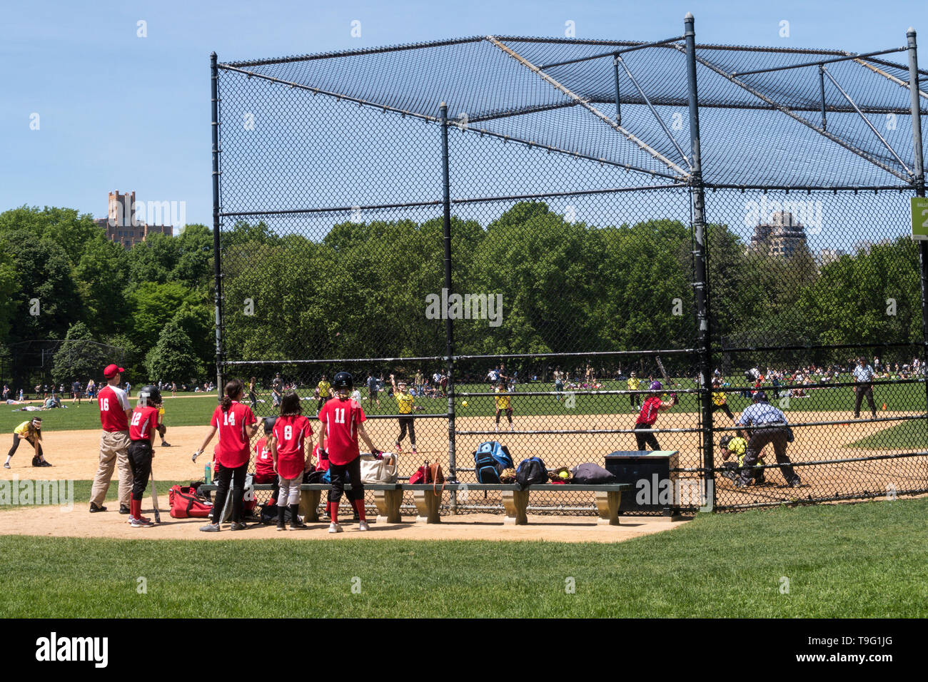 Pour jouer à la balle molle dans Central Park, NYC, USA Banque D'Images