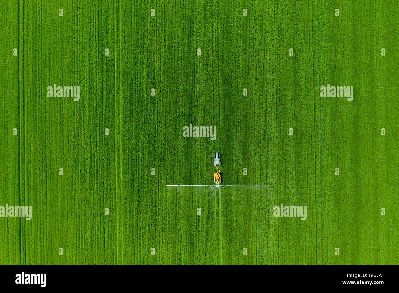 Tracteur typique dans le domaine. Le travail agricole. Paysage du pays Banque D'Images