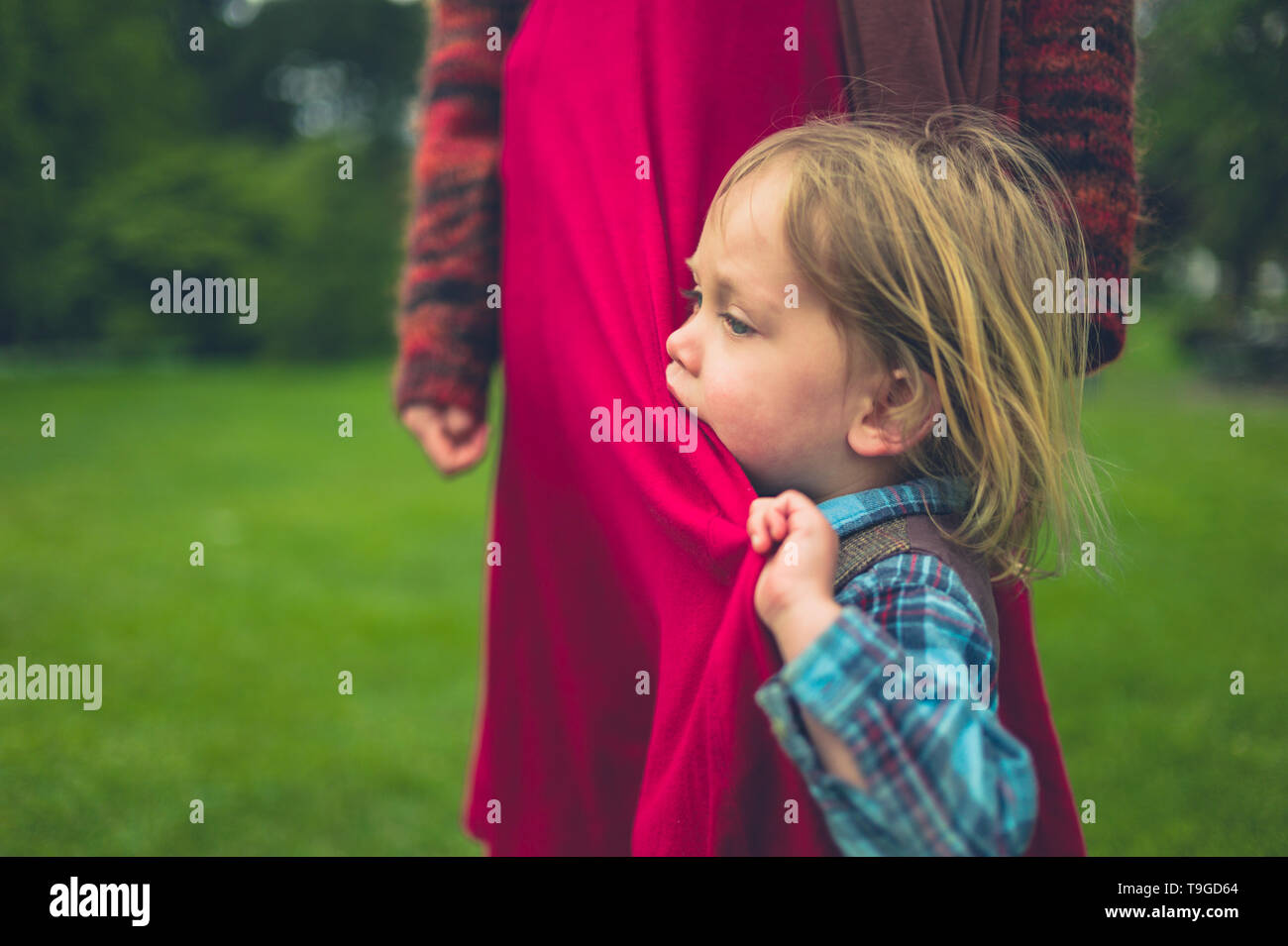 Un peu de tout-petit est accroché à sa mère sur une pelouse dans un parc de pays et est à mâcher sur sa robe Banque D'Images