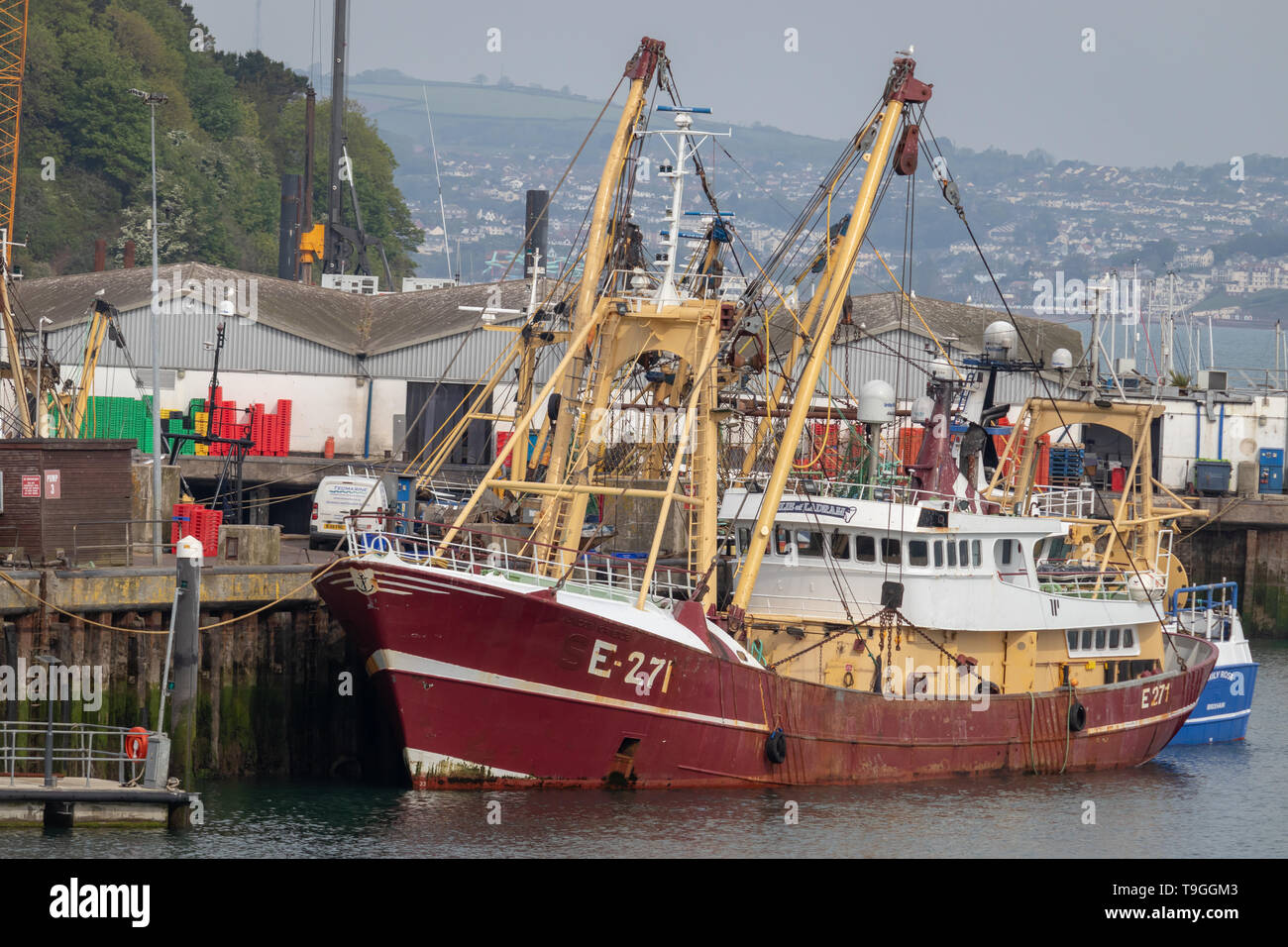 Chalutiers à perche et des bateaux de pêche à Brixham Harbour et Quayside,Angleterre,Torbay.Devon Banque D'Images