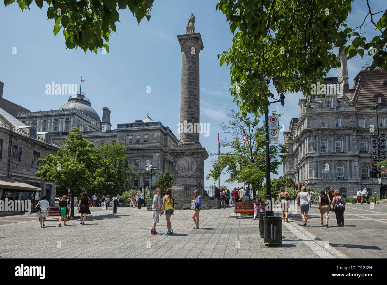 Vue de la colonne de Nelson à la Place Jacques-Cartier, Montréal, Québec, Canada Banque D'Images