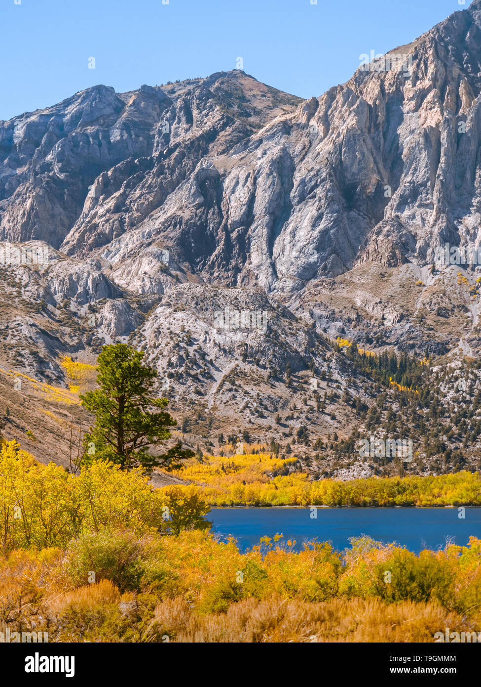 Paysage de montagne vertical avec des couleurs d'automne à leur meilleur Banque D'Images