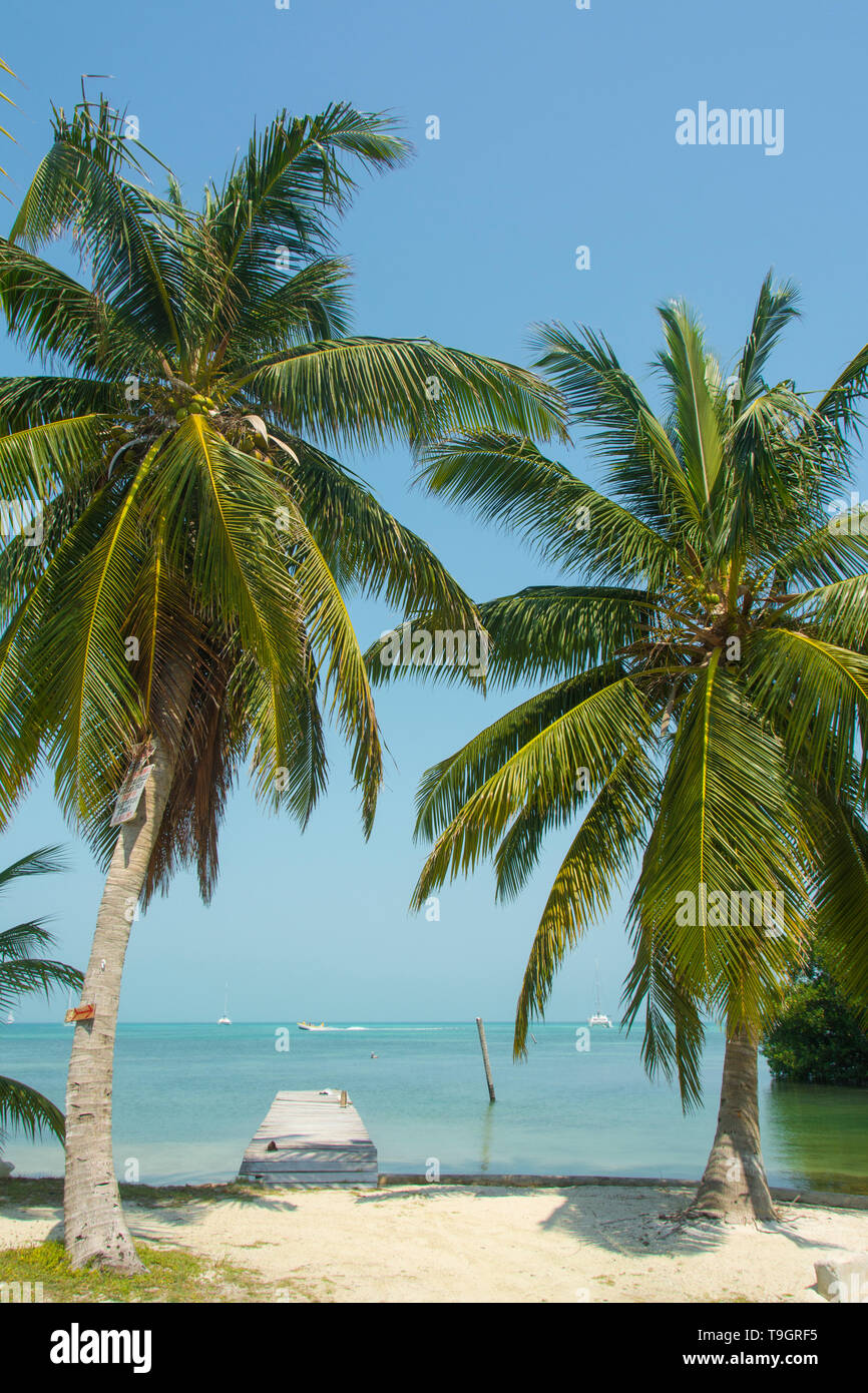 Caye Caulker, Belize Banque D'Images