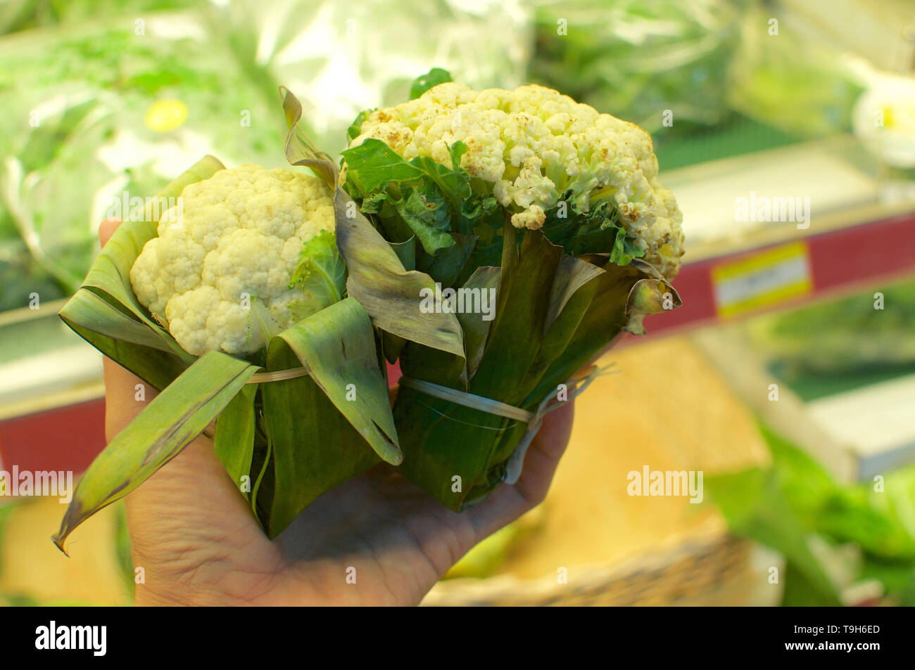 Choux-fleurs enveloppées dans des feuilles de banane qui s'est tenue dans les mains de l'homme. C'est une excellente solution comment remplacer les emballages plastiques et de réduire la taille de celui-ci - Bali, Banque D'Images