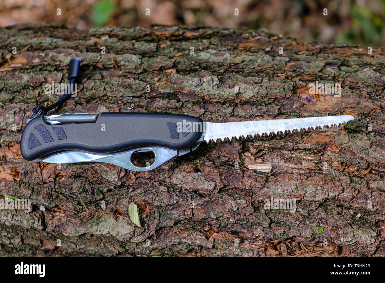 Couteau du soldat suisse, standard de l'armée modèle avec lame de scie  étendu sur le tronc de l'arbre dans la forêt Photo Stock - Alamy